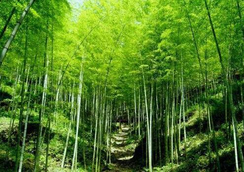 人少景美！五一小長(cháng)假最適合出游的的當地